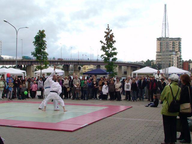 Karate-joen-mawashi-wadoryu