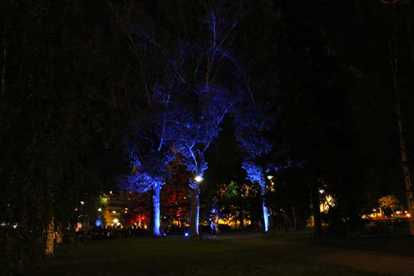 Vapaudenpuisto